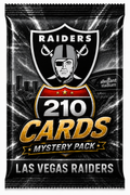Las Vegas Raiders Mystery Starter Box